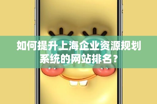 如何提升上海企业资源规划系统的网站排名？