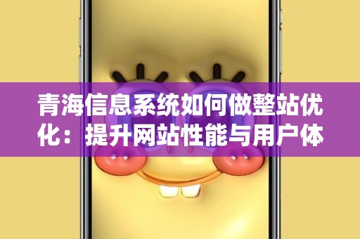 青海信息系统如何做整站优化：提升网站性能与用户体验