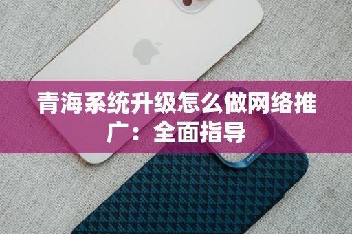 青海系统升级怎么做网络推广：全面指导
