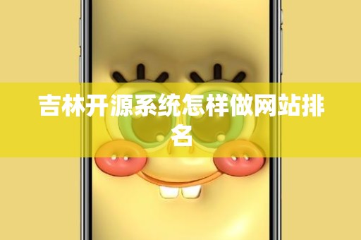 吉林开源系统怎样做网站排名