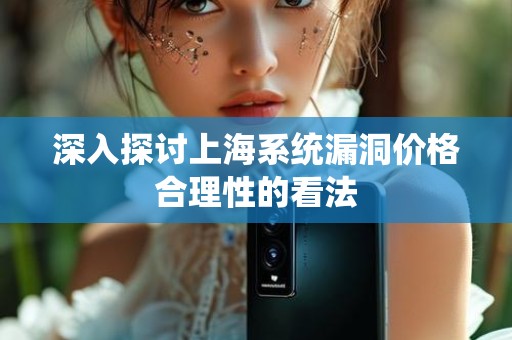 深入探讨上海系统漏洞价格合理性的看法
