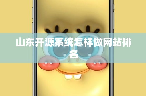 山东开源系统怎样做网站排名