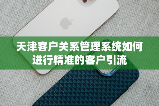 天津客户关系管理系统如何进行精准的客户引流