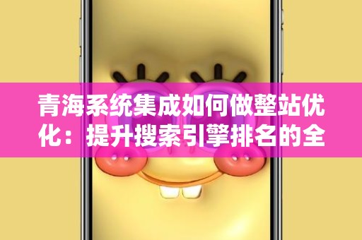 青海系统集成如何做整站优化：提升搜索引擎排名的全方位策略
