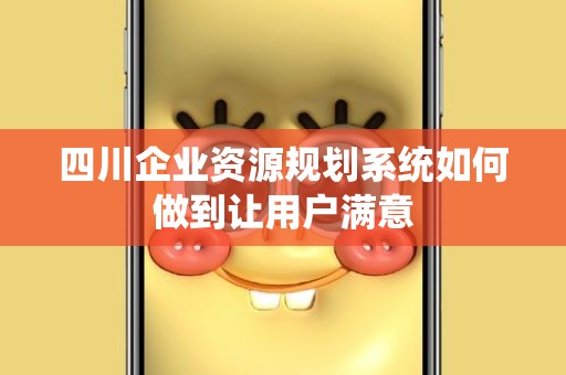 四川企业资源规划系统如何做到让用户满意