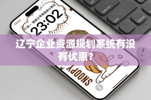 辽宁企业资源规划系统有没有优惠？