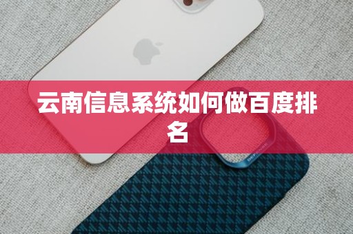 云南信息系统如何做百度排名