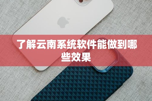了解云南系统软件能做到哪些效果