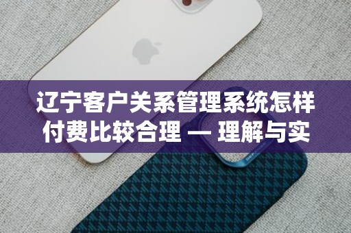 辽宁客户关系管理系统怎样付费比较合理 — 理解与实践